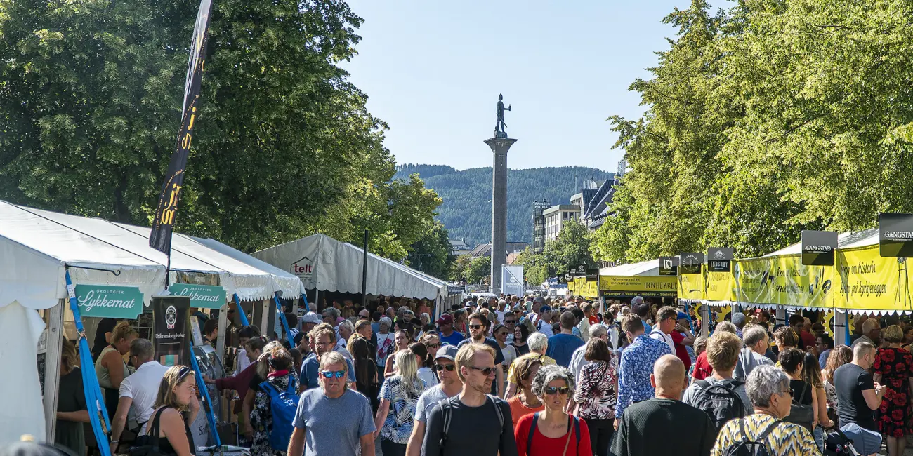 Oversiktsbilde Torget 2019 Leiv Aspen